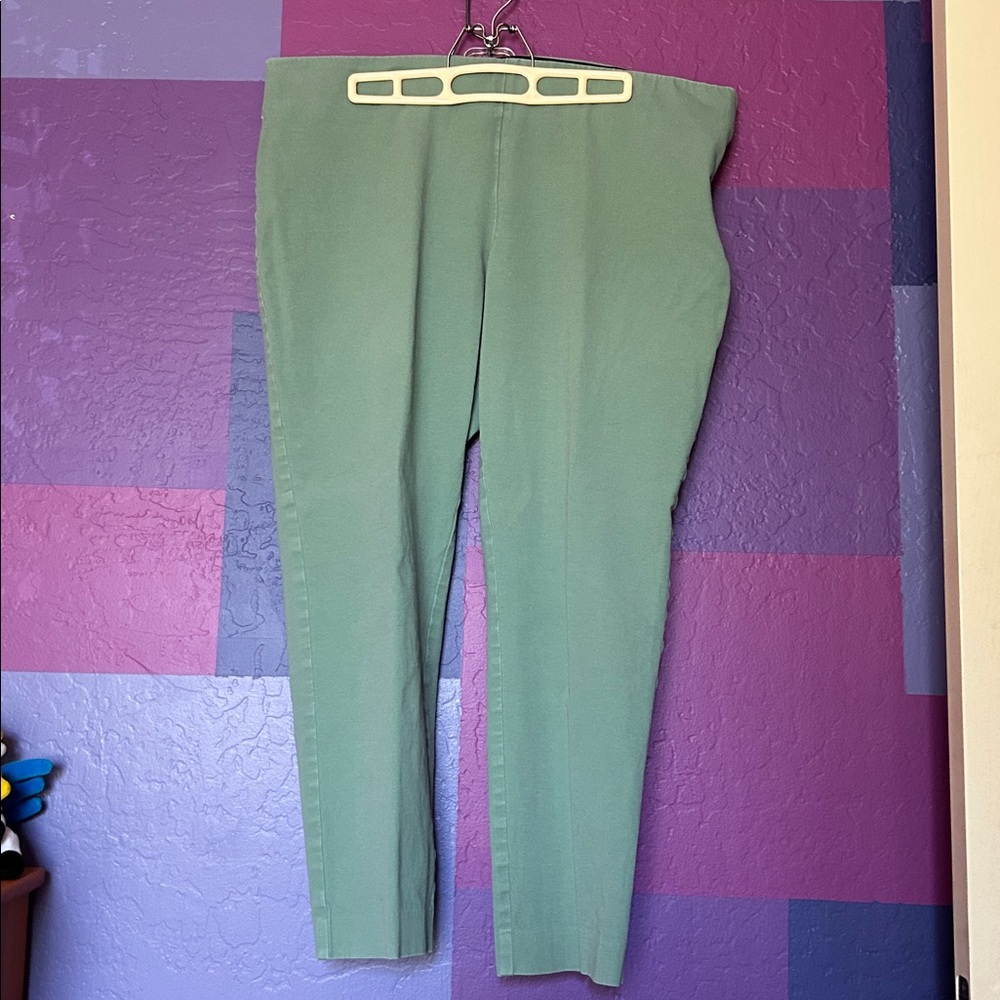 A New Day Stretch Cotton Skinny Ankle Pants (Light Green) - 16